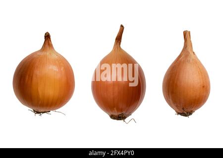 close up three fresh onions isolated on white background, unpeeled onions, top view Stock Photo