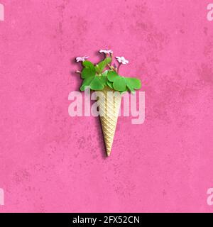 Flat lay of fresh flowers in ice cream waffle cone on grunge pink background Stock Photo