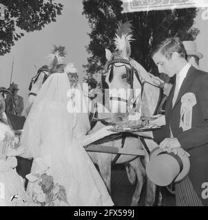 World Animal Day 1964, a carriage with real bride and groom rode in the procession, bride and groom feed the horse, October 5, 1964, brides and grooms, The Netherlands, 20th century press agency photo, news to remember, documentary, historic photography 1945-1990, visual stories, human history of the Twentieth Century, capturing moments in time Stock Photo