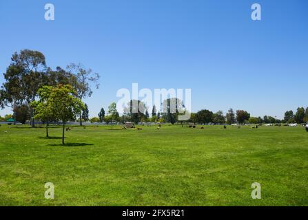 Cypress, California, USA 24th May 2021 A general view of atmosphere of Forest Lawn Cypress Memorial Park on May 24, 2021 in Cypress, California, USA. Photo by Barry King/Alamy Stock Photo Stock Photo