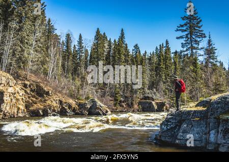 Image of a hiker looking over white water rapids on the Grass River in Northern Manitoba on a sunny day with a deep blue sky, tall green spruce trees. Stock Photo