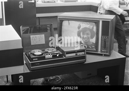 rai international programming