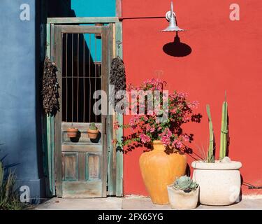 Wooden door exterior with pots of bouganvillea, cacti and hanging chiles in Barrio Viejo, Tucson's historic old neighborhood, Arizona Stock Photo