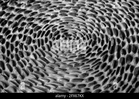 Pebbles Cemented Together in a Radial Pattern Stock Photo