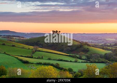 Bridport, Dorset, UK.  26th May 2021.  UK Weather. View from Eype Down near Bridport in Dorset looking towards Colmers Hill shortly after sunrise.  The weather is set to improve after a very wet month with settled conditions and warm temperatures forecast for the whitsun bank holiday weekend.   Picture Credit: Graham Hunt/Alamy Live News Stock Photo