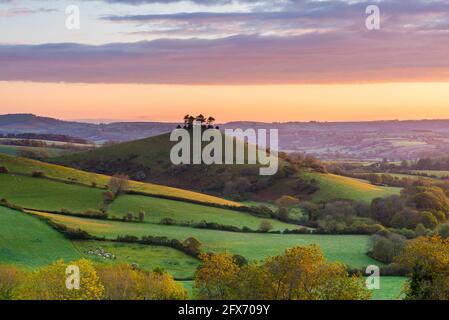 Bridport, Dorset, UK.  26th May 2021.  UK Weather. View from Eype Down near Bridport in Dorset looking towards Colmers Hill shortly after sunrise.  The weather is set to improve after a very wet month with settled conditions and warm temperatures forecast for the whitsun bank holiday weekend.   Picture Credit: Graham Hunt/Alamy Live News Stock Photo