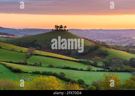 Bridport, Dorset, UK.  26th May 2021.  UK Weather. View from Eype Down near Bridport in Dorset looking towards Colmers Hill shortly after sunrise.  The weather is set to improve after a very wet month with settled conditions and warm temperatures forecast for the whitsun bank holiday weekend.   Picture Credit: Graham Hunt/Alamy Live News Stock Photo