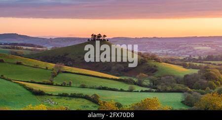 Bridport, Dorset, UK.  26th May 2021.  UK Weather. View from Eype Down near Bridport in Dorset looking towards Colmers Hill shortly after sunrise.  The weather is set to improve after a very wet month with settled conditions and warm temperatures forecast for the whitsun bank holiday weekend.   Picture Credit: Graham Hunt/Alamy Live News Stock Photo