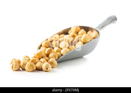 Peeled roasted hazelnut kernels in metal scoop isolated on white background. Stock Photo