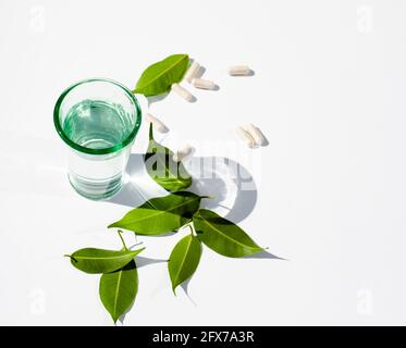 Glass of water. Capsules. Pills. Green leaves. White background. Copy space for text. Alternative medicine topics. Stock Photo