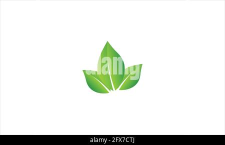 green leaf icon logo in minimal flat design vector illustration Stock Vector