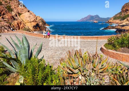 Seaside overlooking the Gulf of Porto. Esplanade and succulents. Porto, Corsica, France Stock Photo