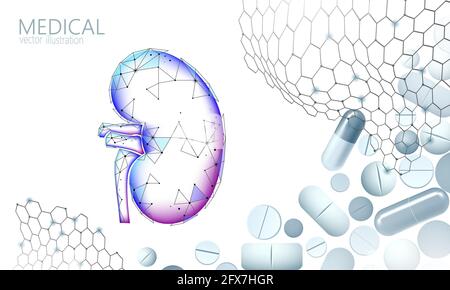 Human kidneys medicine treatment concept. Medical help therapy treatment. Urinary system cancer abdomen prevention poster template. Drugstore pill 3D Stock Vector