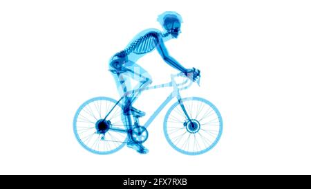 4K anatomy of a X-ray cyclist riding Stock Photo - Alamy