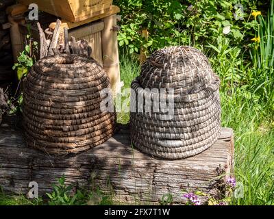 Old beehive stands in the garden Stock Photo