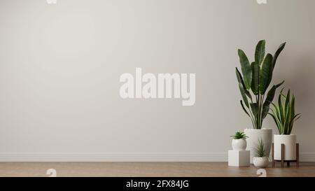 3D rendering, Houseplants, plant pots decorated in living room with white wall background, copy space, 3D illustration Stock Photo