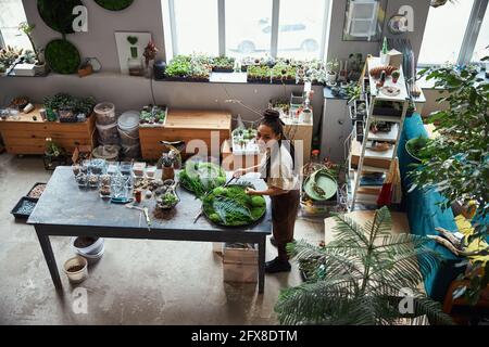 Joyous beautiful floral designer creating plant panels Stock Photo