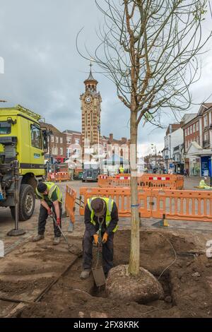 EPSOM, UK - CIRCA JANUARY 2019: Two men in high visibility jackets dropping the earth into the hole around the tree roots in the ground in town centre Stock Photo