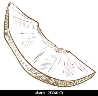 Slice of apricot, nectarine or ripe peach fruit Stock Vector