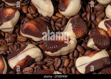 Chocolate candies on a gray background with reflection. Piece by piece and as a whole. Filling of nuts and fruits. Copy space. Stock Photo