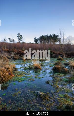 A bright morning at Cleddon, near Trellech. Stock Photo