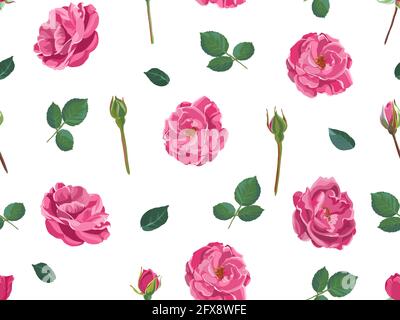 Roses or peonies, stems and leaves pattern print Stock Vector
