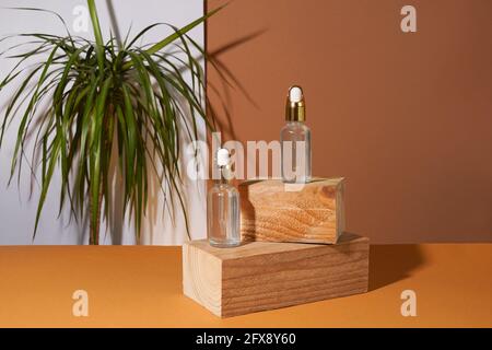 Transparent cosmetic amber glass dropper bottles staying on wooden podium near green plant. Vials with pipette caps for essential oils, perfumes and s Stock Photo