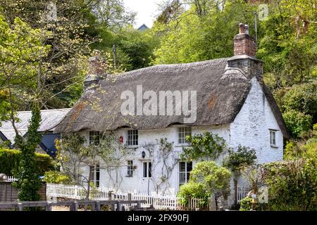 HELSTON, CORNWALL, UK - MAY 14 : Thatched cottage in Helston, Cornwall on May 14, 2021 Stock Photo