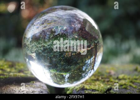Lens Ball, in a woodland setting Stock Photo