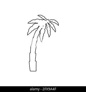 Tropical palm trees, black silhouettes and outline contours on white background. Stock Vector