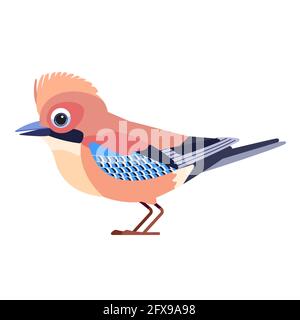 Eurasian Jay Garrulus glandarius . Birdd Cartoon flat style beautiful character of ornithology, vector illustration isolated on white background Stock Vector