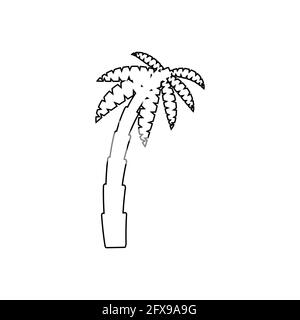 Tropical palm trees, black silhouettes and outline contours on white background. Stock Vector