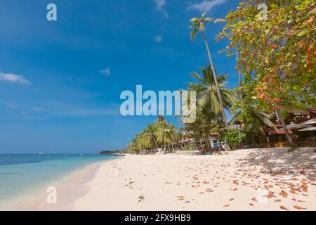 Amazing paradise Alona beach with palms in Bohol Panglao island, Philippines Stock Photo