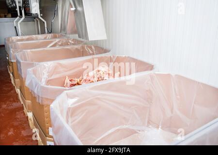 Chicken feet, chicken feet that are cut into many pieces in a large box.Line for the production of meat with packaging and cutting . Industrial equipm Stock Photo