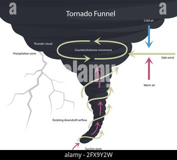 Vector illustration of tornado formation. Tornado structure. Natural disasters. Stock Vector