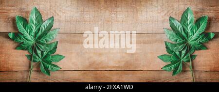 Old wood texture background surface. Top view of surface of wood texture backgrounds. Vintage wood texture background. Natural wood texture. Old wood Stock Photo