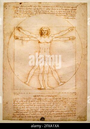 Italy, Venice, Gallerie dell'Accademia, Leonardo da Vinci, Vitruvian man Stock Photo