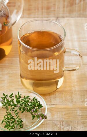 Glass cup of thyme tea and fresh thyme on wooden background Stock Photo