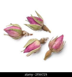 Dried rose buds close up isolated on white background Stock Photo