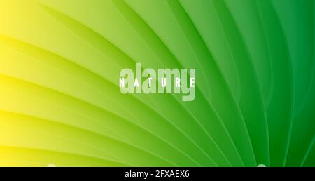 Abstract green nature background with texture of palm leaf close up Stock Vector