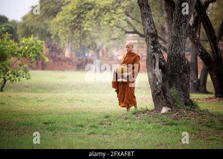 The monk walks in the park, the monk meditates under the Buddha's tree at Wat Ayutthaya, the Buddhist monk temple in Thailand. Stock Photo