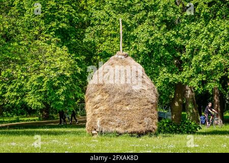 Heuschober, Lübbenau, Brandenburg, Deutschland Stock Photo