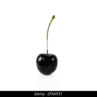 Black cherry isolated on white background. Stock Photo