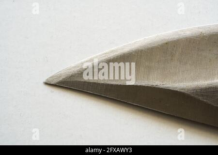 Graphic elements photographed in the studio with natural light well for background Stock Photo