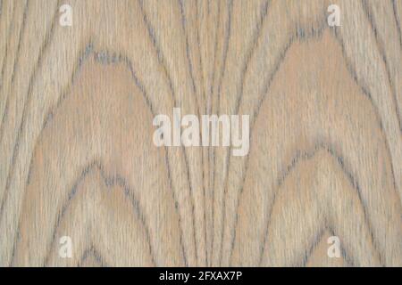 Graphic elements photographed in the studio with natural light well for background Stock Photo