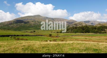 Fellls and meadows around the Old Man of Coniston in Cumbria, England. Stock Photo
