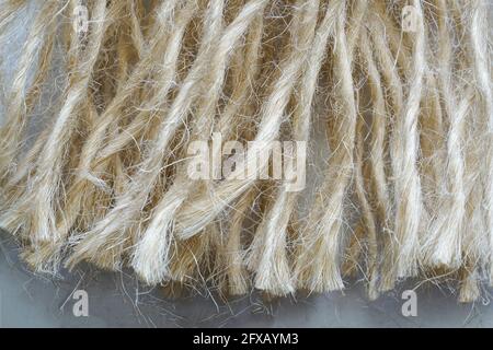 Graphic elements photographed in the studio with natural light well for background Stock Photo