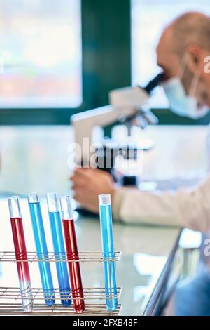 Test tubes and scientist with a face mask looking through a microscope in a scientific laboratory. Basque Country, Spain, Europe. Stock Photo