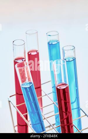 Test tubes with dye liquid. Basque Country, Spain, Europe. Stock Photo