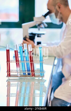 Test tubes and scientist with a face mask looking through a microscope in a scientific laboratory. Basque Country, Spain, Europe. Stock Photo